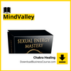 #chakra #healing #anodea #judith #mindvalley download #free #mega #googledrivechakra, anodea, free, google drive, Healing, judith, mega, mindvalley download