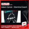 Adam Vance – Stamina Coach, download, downloadbusinesscourse, drive, fast, free, google, mega, rapidgator, torrent