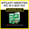 Affiliate Marketing Biz In A Box Plr FREE DOWNLOAD