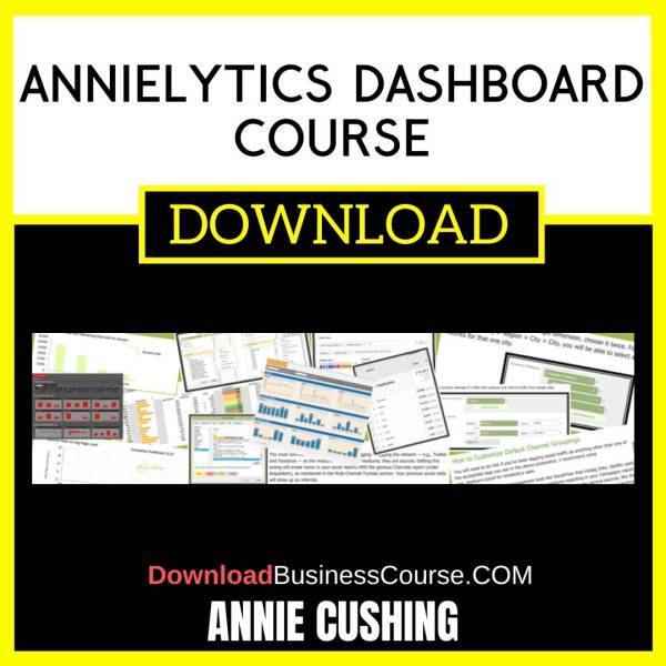 Annie Cushing Annielytics Dashboard Course FREE DOWNLOAD