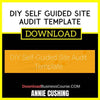 Annie Cushing Diy Self Guided Site Audit Template FREE DOWNLOAD