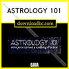 Astrology 101 – Gaia, download, downloadbusinesscourse, free, google drive, mega, rapidgator