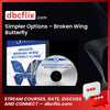 Simpler Options – Broken Wing Butterfly free downoad, dbcflix, dbcflix.com, storedbc.com, downloadbusinesscourse, mega, google drive