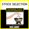 Dave Landry Stock Selection FREE DOWNLOAD