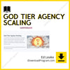 download, downloadbusinesscourse, drive, Ed Leake – God Tier Agency Scaling, fast, free, google, mega, rapidgator, torrent