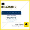 download, downloadbusinesscourse, drive, fast, Feibel Trading – Breakouts, free, google, mega, rapidgator, torrent