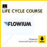 download, downloadbusinesscourse, drive, fast, Flowium – Life Cycle Course, free, google, mega, rapidgator, torrent