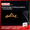 download, downloadbusinesscourse, drive, fast, free, Golden Bridge Trading Academy – Live Sessions, google, mega, rapidgator, torrent