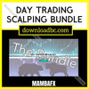 download, downloadbusinesscourse, free, google drive, MambaFX – Day Trading Scalping Bundle, mega, rapidgator