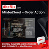 download, downloadbusinesscourse, drive, fast, free, google, mega, MintedSeed – Order Action, rapidgator, torrent