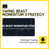 download, downloadbusinesscourse, drive, fast, free, google, mega, Pollinate Trading – Swing Beast Momentum Strategy, rapidgator, torrent