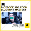 download, downloadbusinesscourse, drive, fast, free, google, mega, rapidgator, Ricky Hayes – Facebook Ads Ecom Blueprint Mastery, torrent