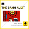 download, downloadbusinesscourse, drive, fast, free, google, mega, rapidgator, torrent Sean D’Souza – The Brain Audit