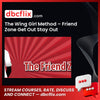 download, downloadbusinesscourse, drive, fast, free, google, mega, rapidgator, The Wing Girl Method – Friend Zone Get Out Stay Out, torrent