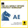 Amy Meissner - The A14 Weekly Option Strategy Workshop, download, downloadbusinesscourse, drive, fast, free, google, mega, rapidgator, torrent