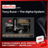 download, downloadbusinesscourse, free, google drive, mega, rapidgator, Tony Ruca – The Alpha System