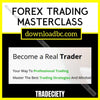 download, downloadbusinesscourse, free, google drive, mega, rapidgator, Tradeciety – Forex Trading Masterclass