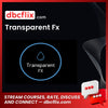 download, downloadbusinesscourse, free, google drive, mega, rapidgator, Transparent Fx