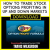 Travis Wilkerson How To Trade Stock Options Profiting In Up And Down Markets FREE DOWNLOAD