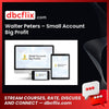 download, downloadbusinesscourse, drive, fast, free, google, mega, rapidgator, torrent, Walter Peters – Small Account Big Profit