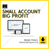 download, downloadbusinesscourse, drive, fast, free, google, mega, rapidgator, torrent, Walter Peters – Small Account Big Profit