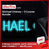 download, downloadbusinesscourse, drive, fast, free, google, mega, Michael Cheney – 3 Course Bundle, rapidgator, torrent